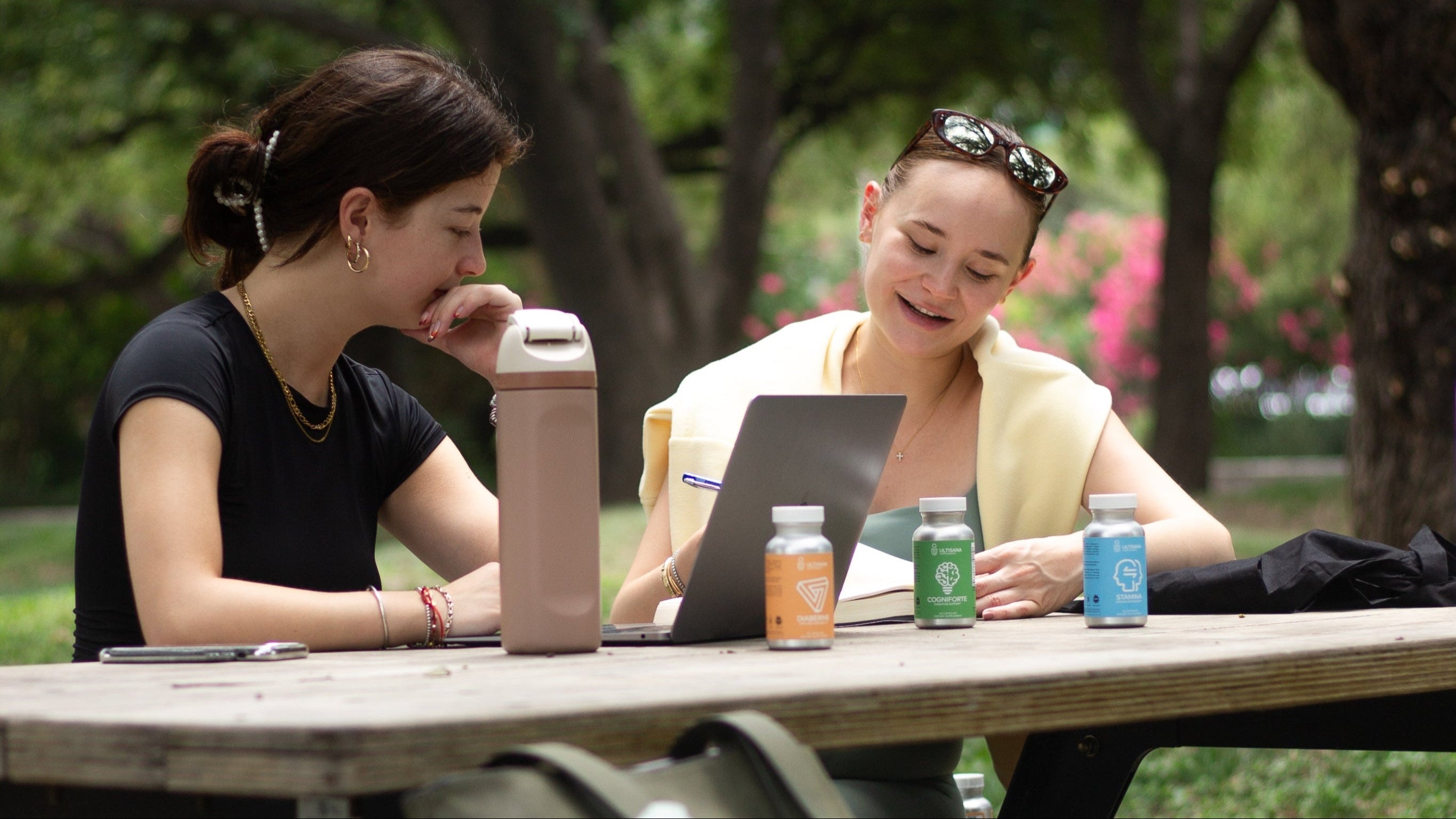 Two women sitting at a picnic table in a park, using a laptop.