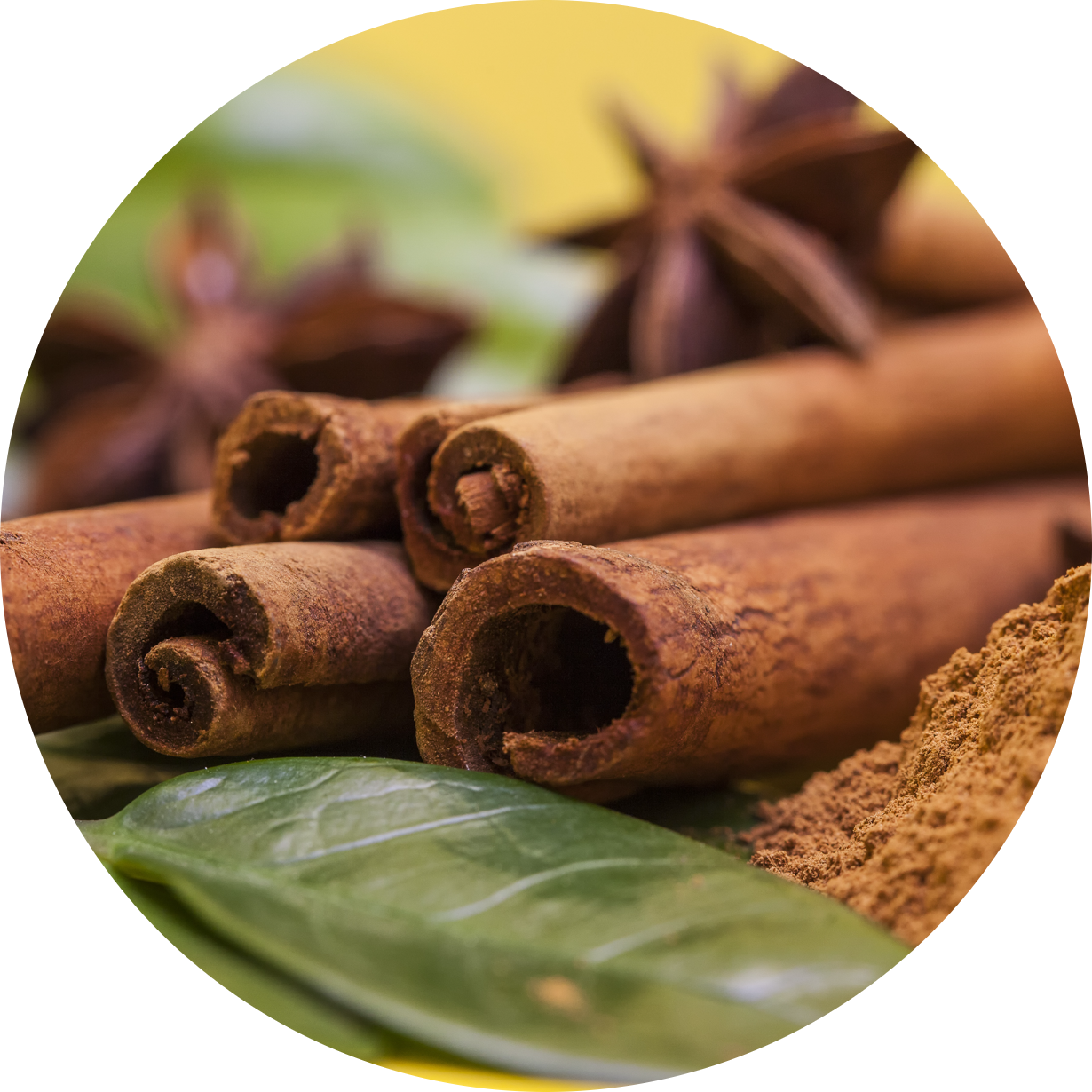 cinnamon_bark.png