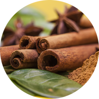 Cinnamon Bark