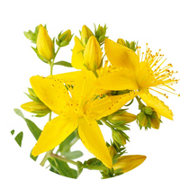 St. John’s Wort
